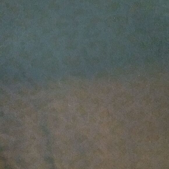 Ovi Blue Leopard Print Blouse (Medium) - Picture 3 of 6